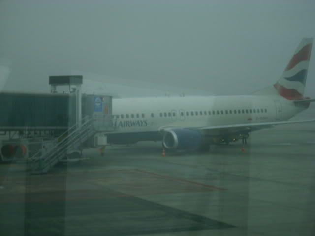 IMG_0172.jpg