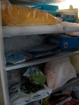 The freezer as of January 8, 2010