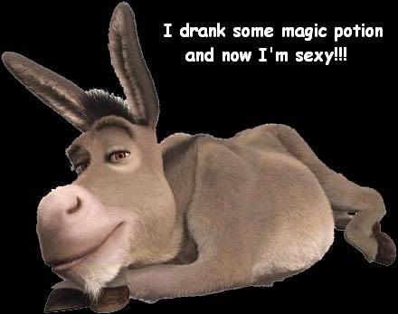 donkey-8.jpg