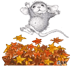 Fall leaves Pictures, Images and Photos
