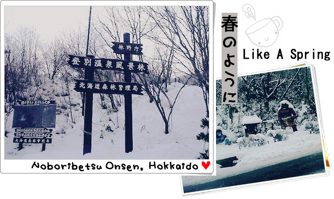 Hokkaido_01.png 