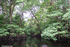 Area de Biotopos Area de Biotopos