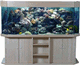 Presumenos tu Acuario Presumenos tu Acuario
