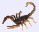 Invertebrados terrestes Invertebrados terrestes