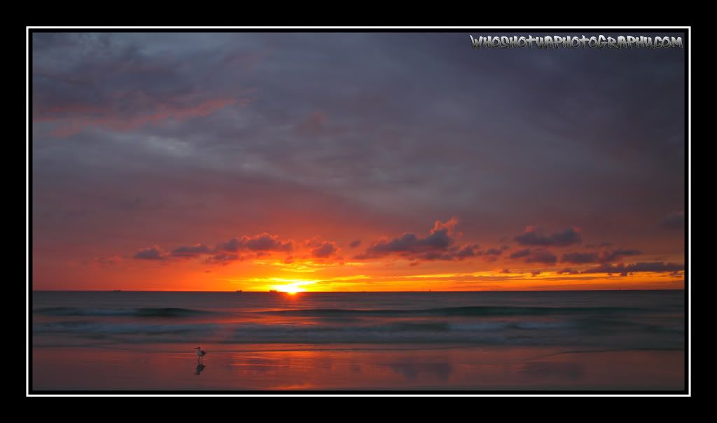 IMAGE: http://i393.photobucket.com/albums/pp17/whoshotyaphotography/2ssss_filtered.jpg