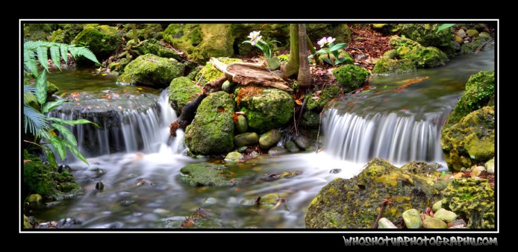 IMAGE: http://i393.photobucket.com/albums/pp17/whoshotyaphotography/5s-1.jpg