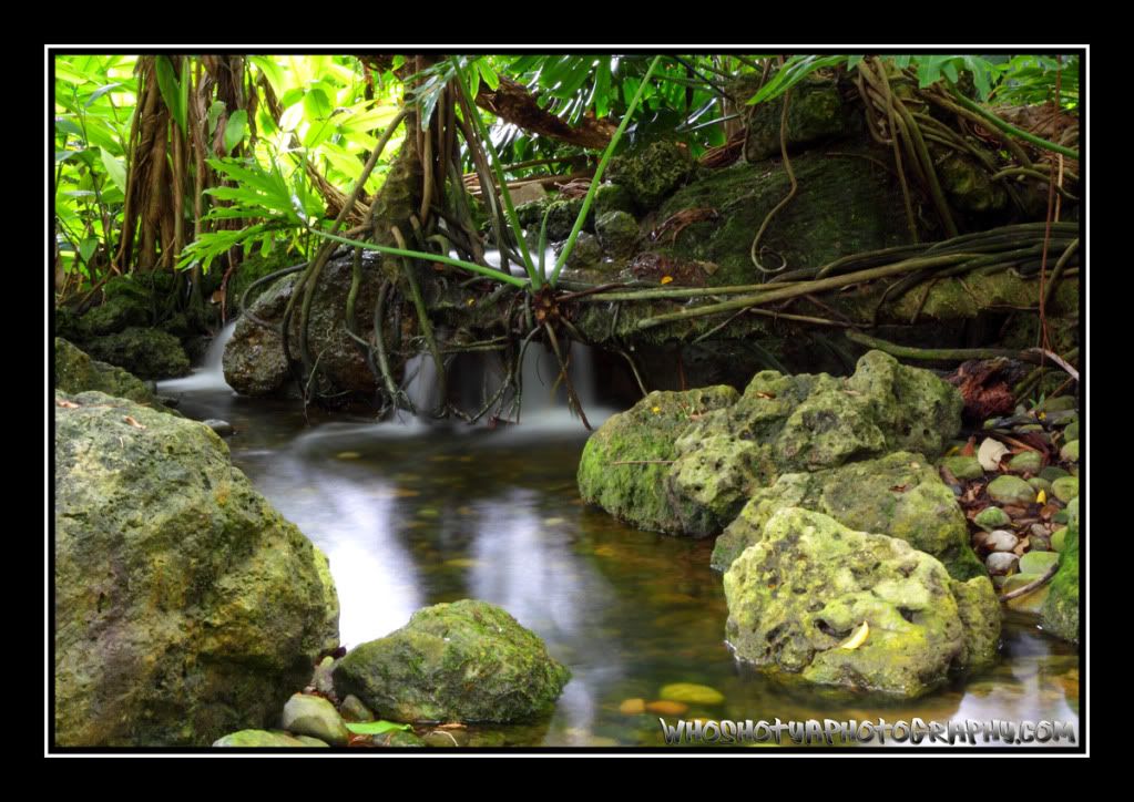 IMAGE: http://i393.photobucket.com/albums/pp17/whoshotyaphotography/7s-3.jpg