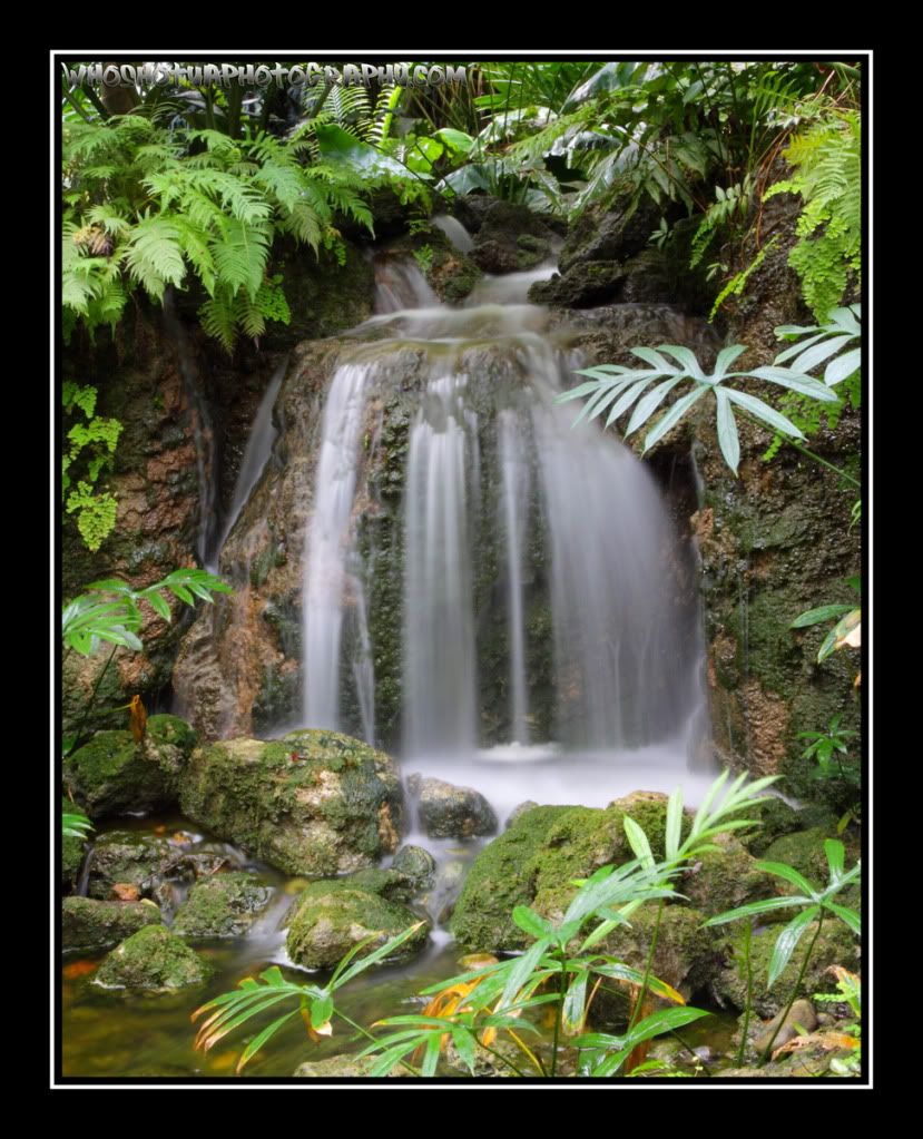 IMAGE: http://i393.photobucket.com/albums/pp17/whoshotyaphotography/8s-1.jpg