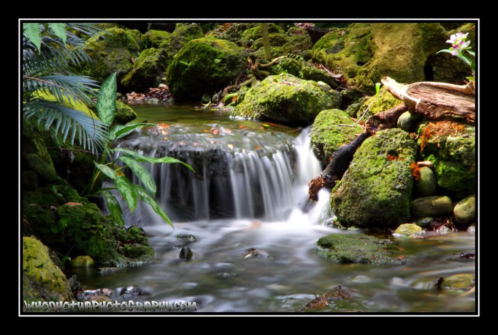 IMAGE: http://i393.photobucket.com/albums/pp17/whoshotyaphotography/9s-1.jpg