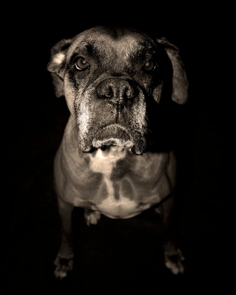 IMAGE: http://i393.photobucket.com/albums/pp17/whoshotyaphotography/daisey3bw.jpg