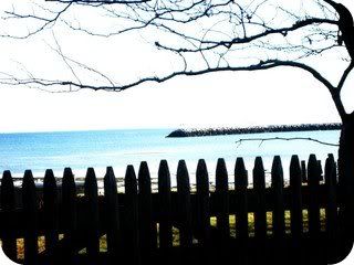 my escape