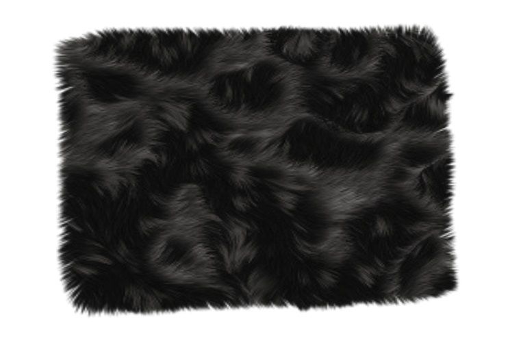  photo Black fur rug.jpg