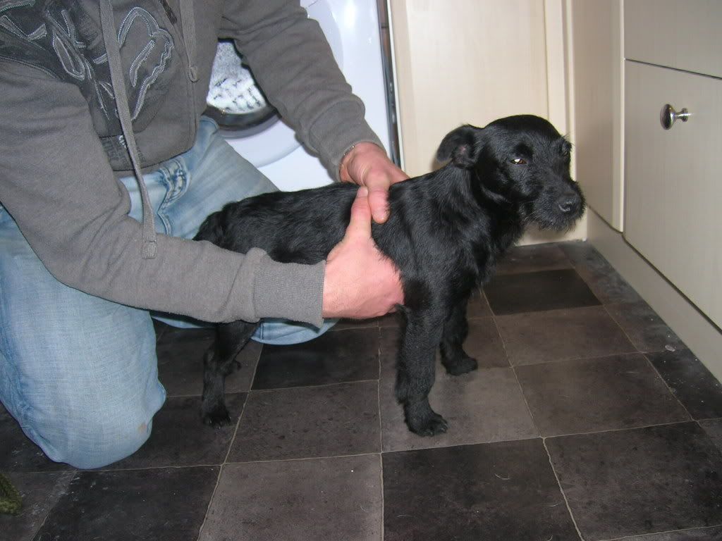 pics24thnov09011.jpg