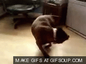 7E917178-844D-4C4D-B3C0-8A280DB15727_zpskii2x1zw.gif
