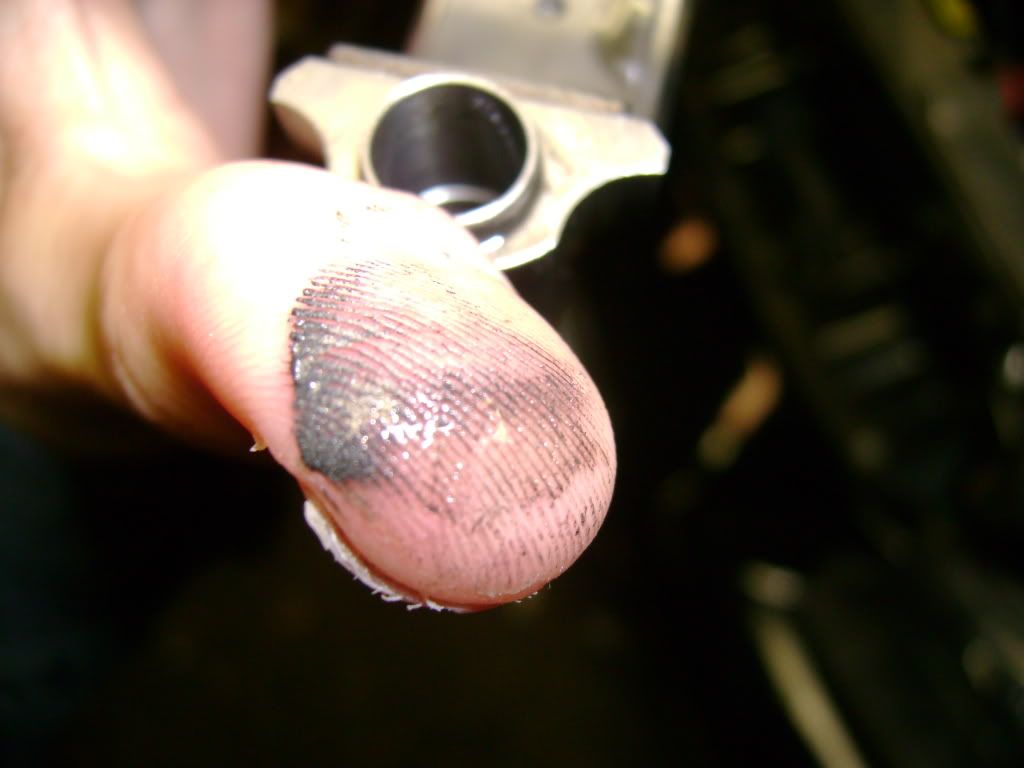 [Image: DSC00750.jpg]