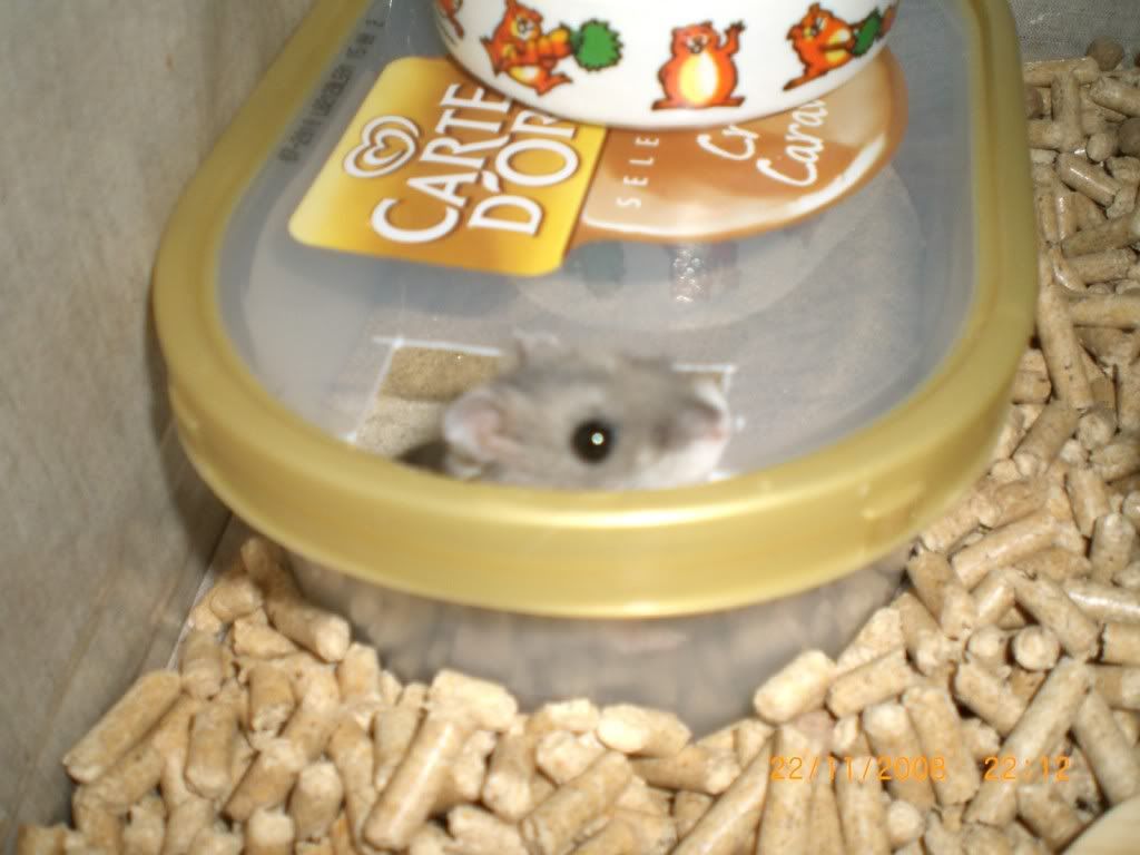 Billede