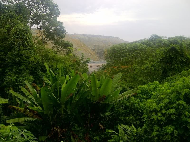 Posted Image