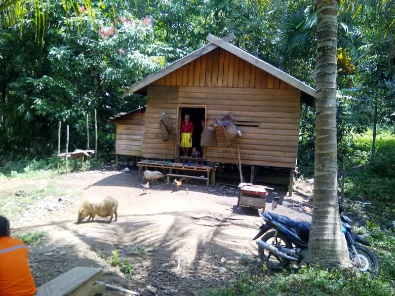 Posted Image