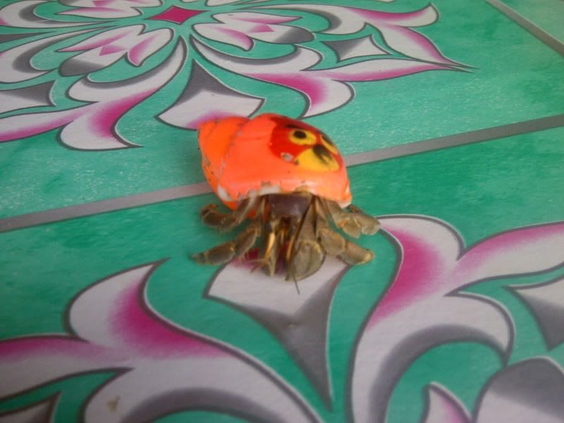 Posted Image