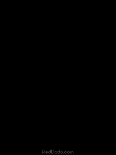 fire240x320.gif