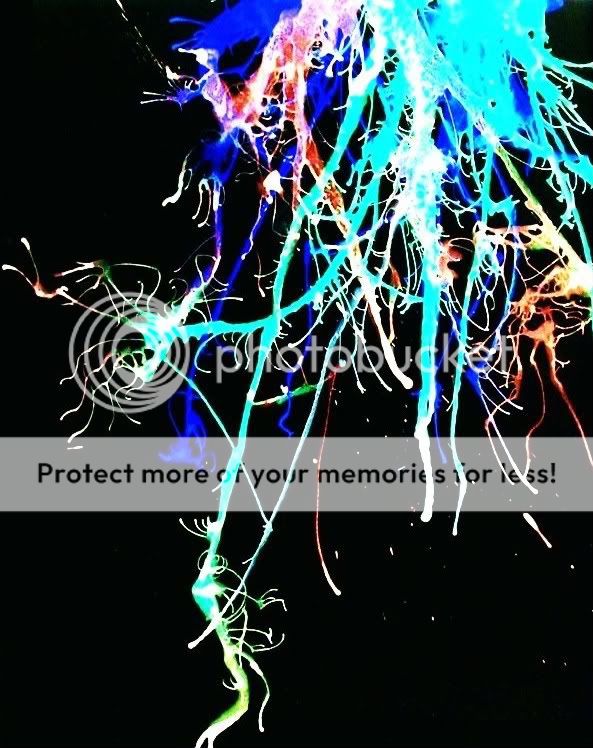 Paint Splatter Wallpaper | Paint Splatter Background for Desktops